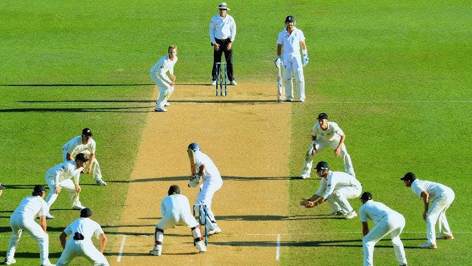 Cricket Action
